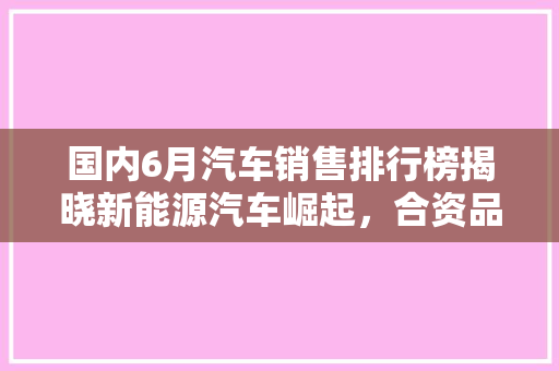 国内6月汽车销售排行榜揭晓新能源汽车崛起，合资品牌稳居高位