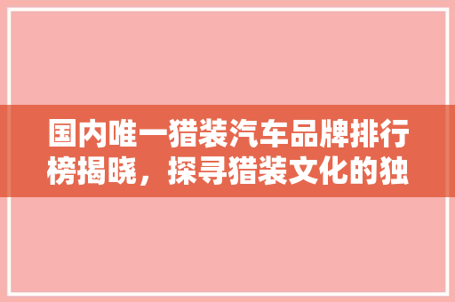 国内唯一猎装汽车品牌排行榜揭晓，探寻猎装文化的独特魅力