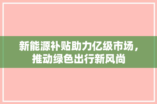 新能源补贴助力亿级市场，推动绿色出行新风尚