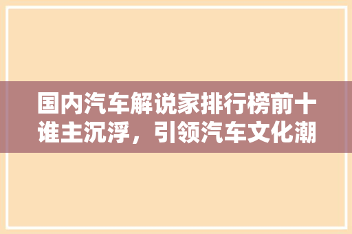 国内汽车解说家排行榜前十谁主沉浮，引领汽车文化潮流