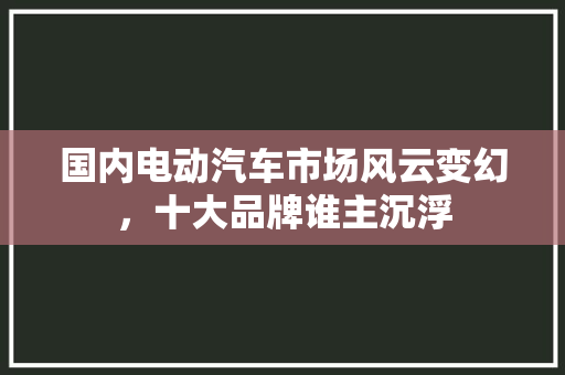 国内电动汽车市场风云变幻，十大品牌谁主沉浮