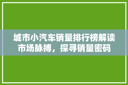 城市小汽车销量排行榜解读市场脉搏，探寻销量密码