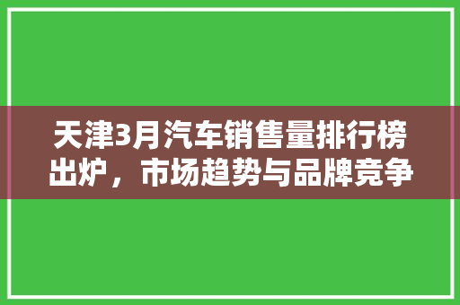 天津3月汽车销售量排行榜出炉，市场趋势与品牌竞争力分析