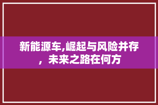 新能源车,崛起与风险并存，未来之路在何方