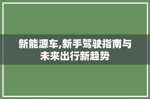 新能源车,新手驾驶指南与未来出行新趋势