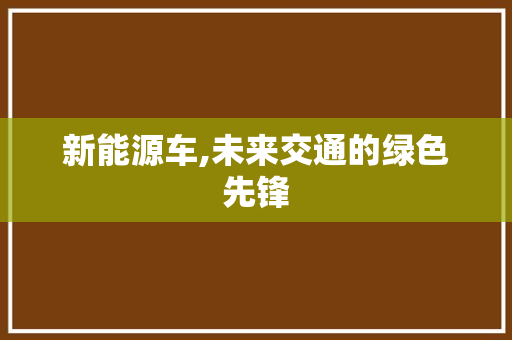新能源车,未来交通的绿色先锋
