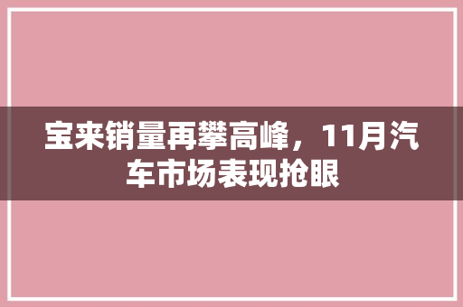 宝来销量再攀高峰，11月汽车市场表现抢眼