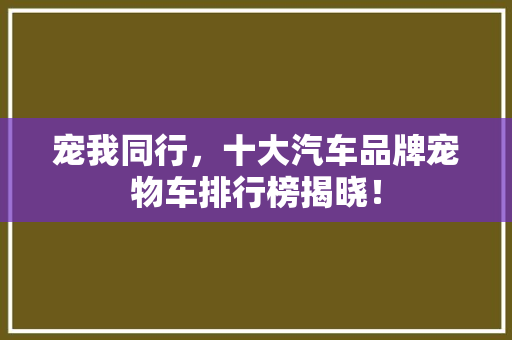 宠我同行，十大汽车品牌宠物车排行榜揭晓！