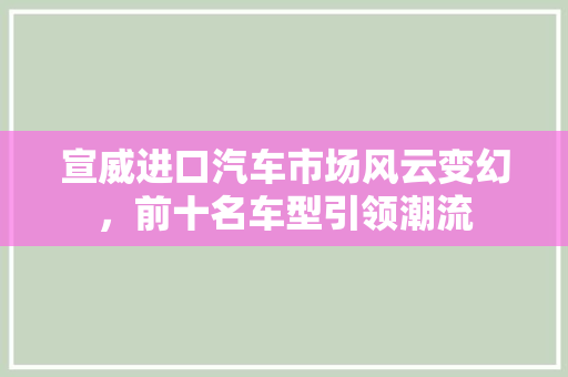 宣威进口汽车市场风云变幻，前十名车型引领潮流