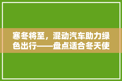 寒冬将至，混动汽车助力绿色出行——盘点适合冬天使用的混动车型