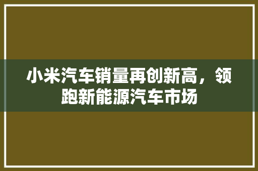 小米汽车销量再创新高，领跑新能源汽车市场