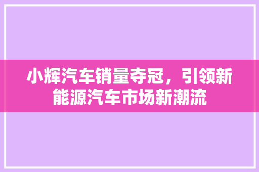 小辉汽车销量夺冠，引领新能源汽车市场新潮流