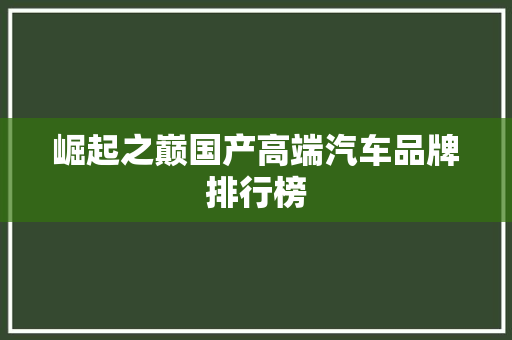 崛起之巅国产高端汽车品牌排行榜