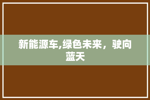 新能源车,绿色未来，驶向蓝天