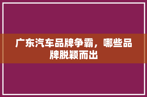 广东汽车品牌争霸，哪些品牌脱颖而出