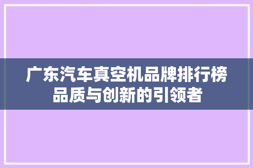 广东汽车真空机品牌排行榜品质与创新的引领者