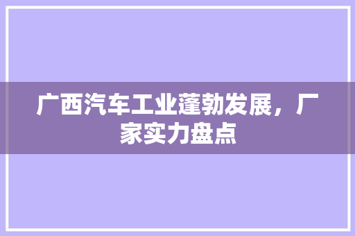 广西汽车工业蓬勃发展，厂家实力盘点