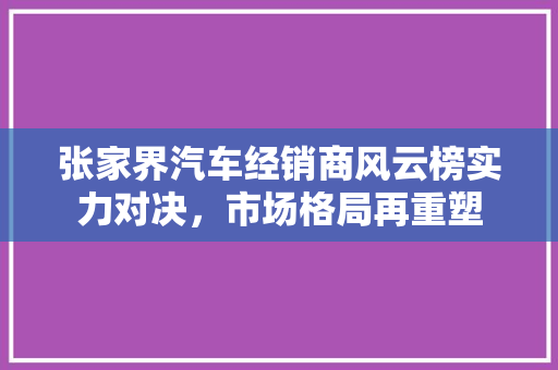 张家界汽车经销商风云榜实力对决，市场格局再重塑