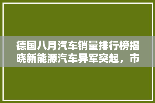 德国八月汽车销量排行榜揭晓新能源汽车异军突起，市场格局悄然生变
