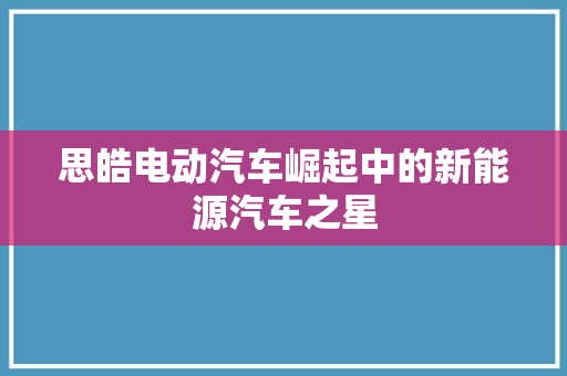 思皓电动汽车崛起中的新能源汽车之星