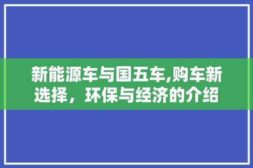 新能源车与国五车,购车新选择，环保与经济的介绍
