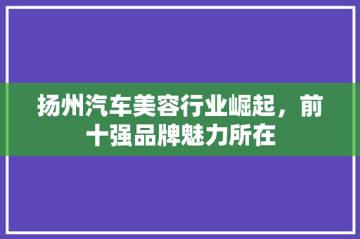 扬州汽车美容行业崛起，前十强品牌魅力所在