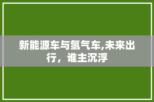 新能源车与氢气车,未来出行，谁主沉浮