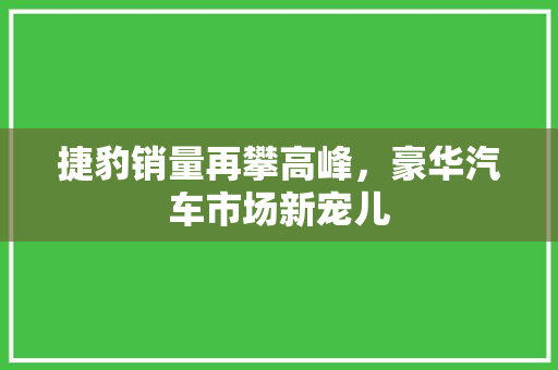 捷豹销量再攀高峰，豪华汽车市场新宠儿