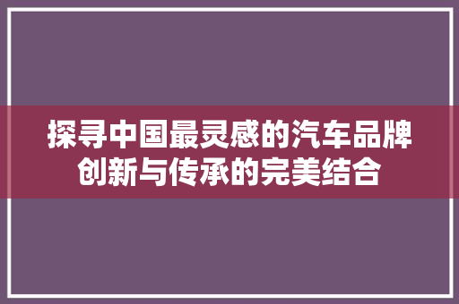 探寻中国最灵感的汽车品牌创新与传承的完美结合
