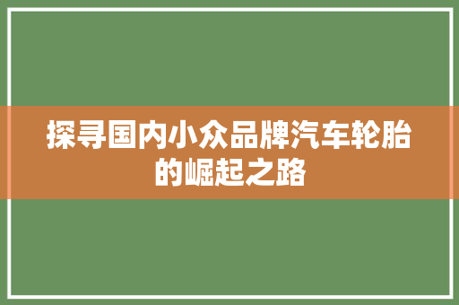 探寻国内小众品牌汽车轮胎的崛起之路