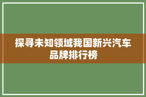 探寻未知领域我国新兴汽车品牌排行榜
