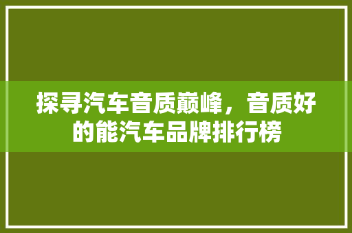 探寻汽车音质巅峰，音质好的能汽车品牌排行榜