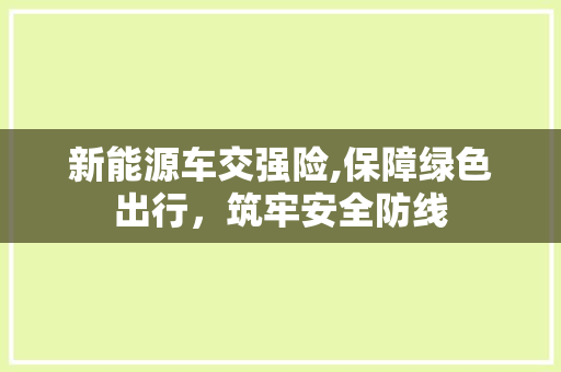 新能源车交强险,保障绿色出行，筑牢安全防线