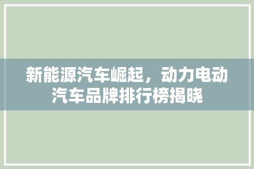 新能源汽车崛起，动力电动汽车品牌排行榜揭晓