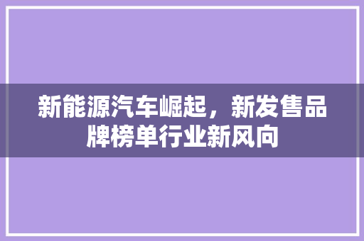 新能源汽车崛起，新发售品牌榜单行业新风向