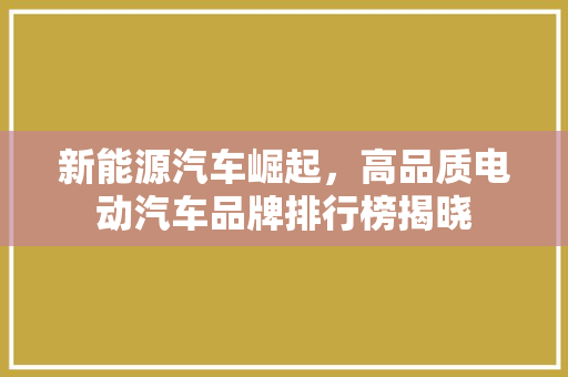 新能源汽车崛起，高品质电动汽车品牌排行榜揭晓
