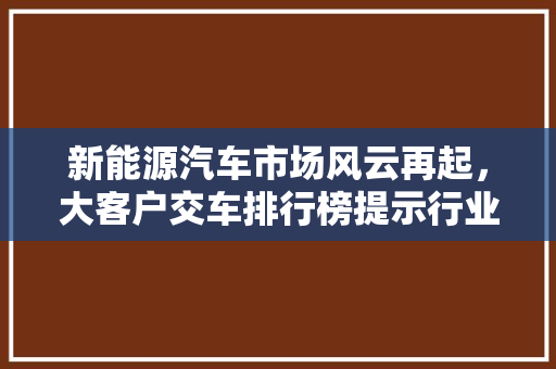 新能源汽车市场风云再起，大客户交车排行榜提示行业趋势