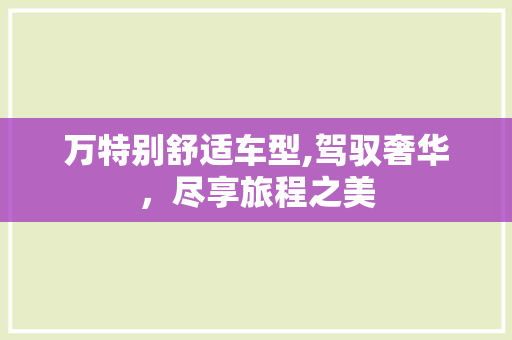 万特别舒适车型,驾驭奢华，尽享旅程之美