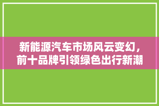 新能源汽车市场风云变幻，前十品牌引领绿色出行新潮流