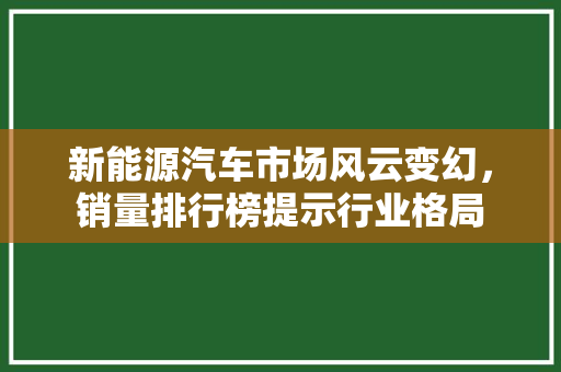 新能源汽车市场风云变幻，销量排行榜提示行业格局