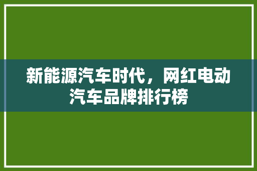 新能源汽车时代，网红电动汽车品牌排行榜