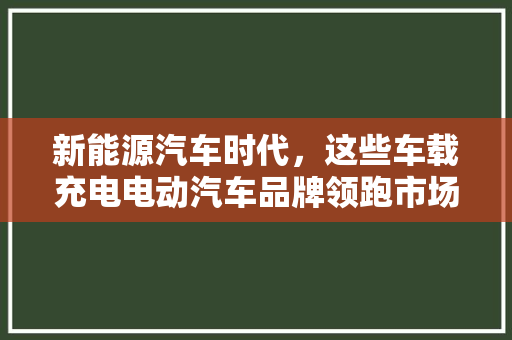 新能源汽车时代，这些车载充电电动汽车品牌领跑市场