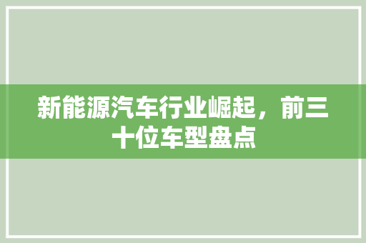 新能源汽车行业崛起，前三十位车型盘点