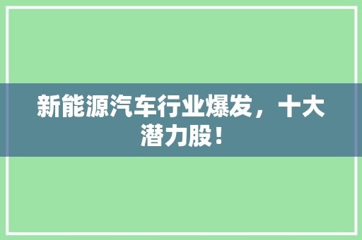 新能源汽车行业爆发，十大潜力股！