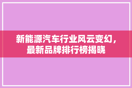 新能源汽车行业风云变幻，最新品牌排行榜揭晓