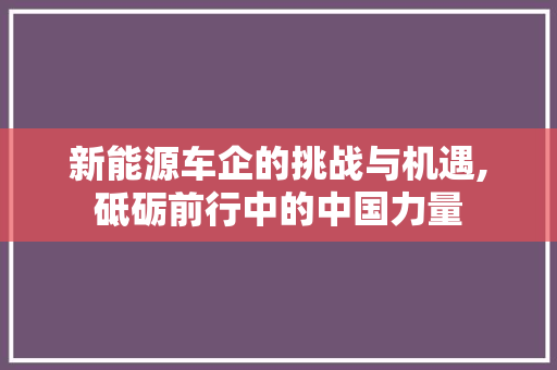 新能源车企的挑战与机遇,砥砺前行中的中国力量