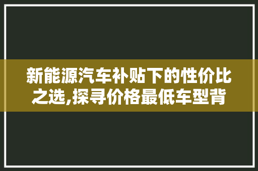 新能源汽车补贴下的性价比之选,探寻价格最低车型背后的故事