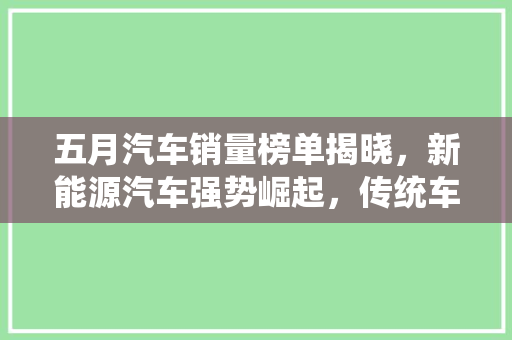 五月汽车销量榜单揭晓，新能源汽车强势崛起，传统车企面临挑战