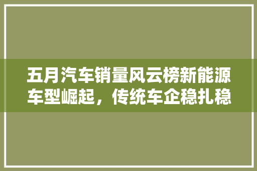 五月汽车销量风云榜新能源车型崛起，传统车企稳扎稳打