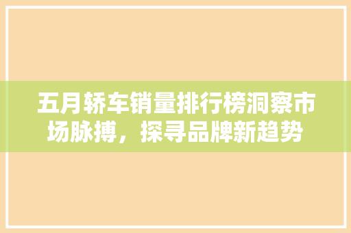 五月轿车销量排行榜洞察市场脉搏，探寻品牌新趋势